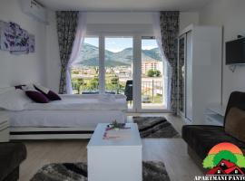 Apartmani Pantovic - Apartman 3, hotell i Trebinje