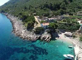Seaside house for families with children Cove Pakomina, Hvar - 12702