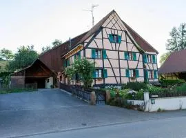 Gîte alsacien rénové avec jardin près de la Suisse et de l'Allemagne, idéal pour familles et amis - FR-1-744-29