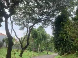Green Suburban Residence