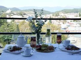 Hotel Panoramic