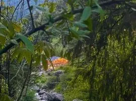 Mystic Vibes - Jibhi
