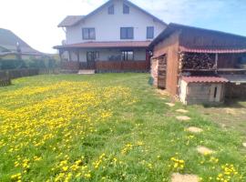 Not availabe, country house in Bod