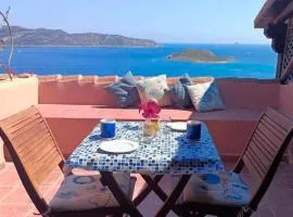 San Teodoro Punta Est Delizioso Monolocale Vista Mare