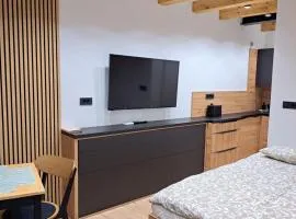Apartment Lunaja 2