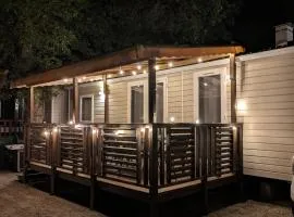 La Carabasse Les Mazets 101