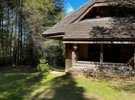 Vizbuļi, Amatciems