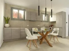 Araxia cycladic modern apartment