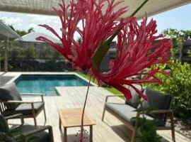 Nakolodge - 2 chambres -piscine et jardin privatifs