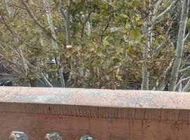 APARTMAN IN REPUBLIC SQUARE YREVAN