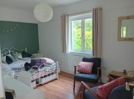 Galway garden suite 3km from Galway city centre, chalet i Galway