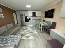 Maya Home