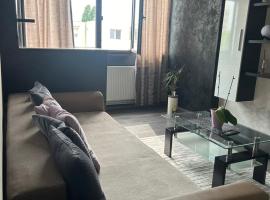 Rent Apartments Barlad, cheap hotel in Bîrlad
