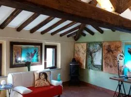 Casa d'artista: E poi tornarono le rondini...