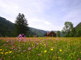 Appartements Zettler, apartament din Donnersbachwald