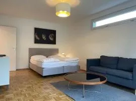 Amazing studio in the city centre (Art 12)