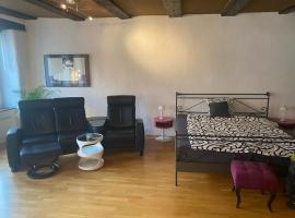 Joline private guest apartment Studio feel home, hotel u gradu Nidau