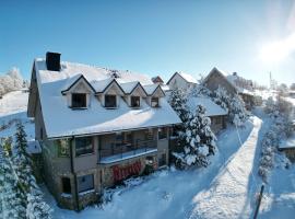 Apartamenty SnowHouse, serviced apartment in Duszniki Zdrój