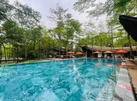 Flamingo Dai Lai Resort- Forest Villa