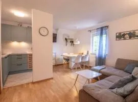 Apartment above Lake Bled