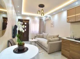 Vila Apartments Lidija