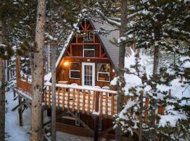 A-Frame Cabin - Mountain Views, Deck, Pet Friendly, ski resort in Idaho Springs