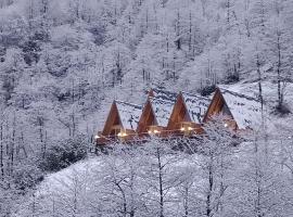 Vita Nova Bungalows Of, lodge in Trabzon