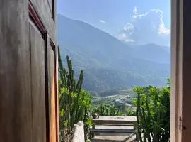 Pavi home