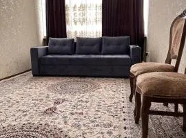 Apartment in the city center