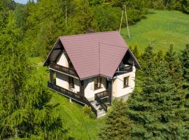Dom na Wielkiej Polanie, vacation rental in Sidzina