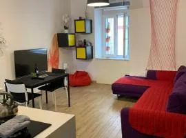 IL GINEPRO house