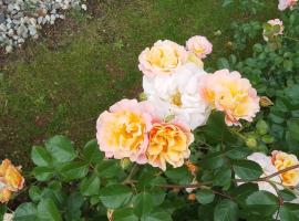 Casa Gabry Bouganville