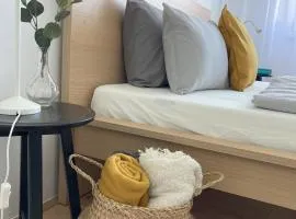Zazie Apartment with free parking