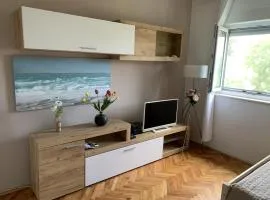Apartment 877-1