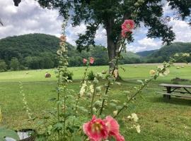 Gorgeous cabin stay near I-77, views, antiques, Wi-fi, wonderful experience for 2!, hotel v destinaci Princeton