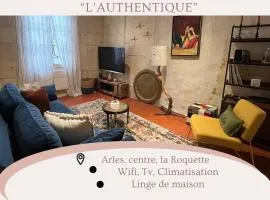 "L'authentique" Maison de ville Arles La Roquette