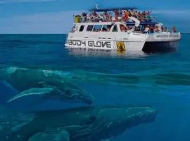 Dilan Whale watching