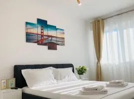 Newton luxury apartment