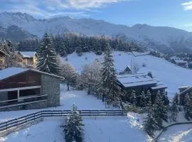 Appartement Chaleureux La Montagne