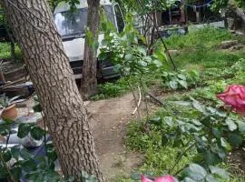 avtostop.bicykle.tent