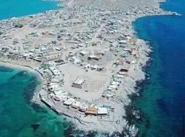 Scottscondo