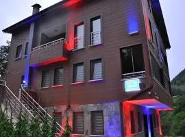 Uçan Pansiyon