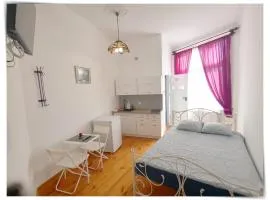 SouvenirAppart Sniadeckich 45