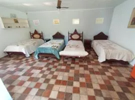 Suites Delicia