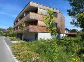BOUTIQUE APARTMENTS LUSTENAU Nachhaltige Kühlung über Erdsonde und Fussbodenkühlung、ルステナウのバケーションレンタル