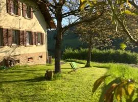 Auszeit im Waldhaus