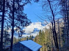 Les Cuves - Chalet Montagnard, hotel con estacionamiento en Les Clefs