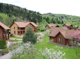 TAOR Karpaty Resort & Spa, glamping site in Skhidnitsa