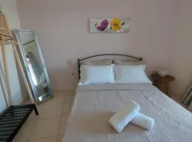 Stella's House