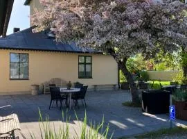Villa Deluxe at Brohuspark